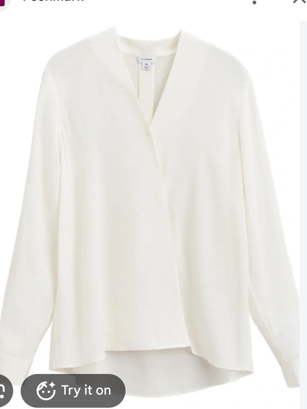 Cuyana Silk Blouse